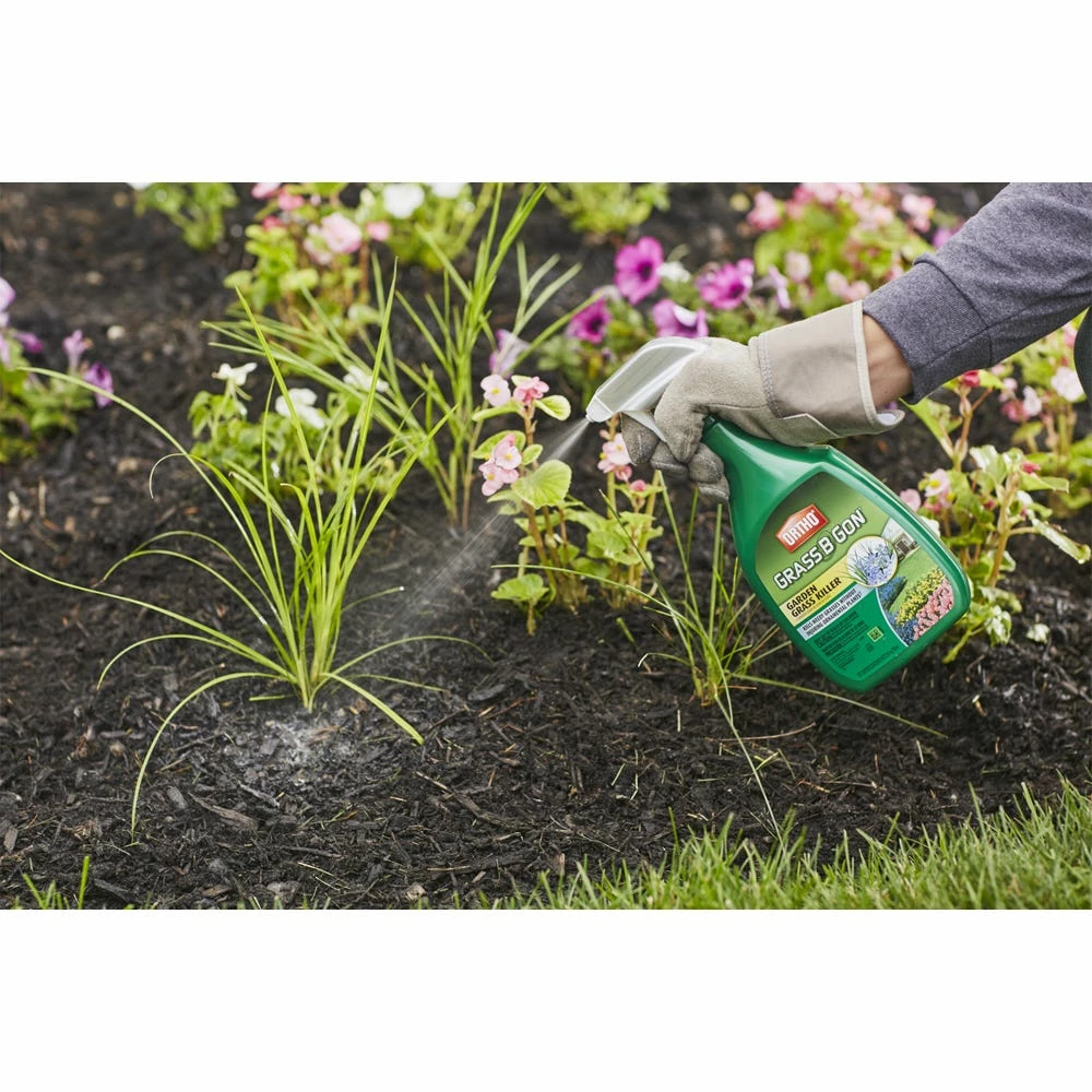 Ortho Grass B Gon Garden Grass Killer, 24 oz. - 0438580 - Herbicides 6 Ortho Grass B Gon Garden Grass Killer, 24 oz. - 0438580 - Herbicides - Image 4