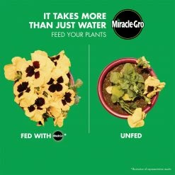 Miracle-Gro Liquafeed All-Purpose Plant Food 16 oz. Refills, 4-Pack - 1004325 - Fertilizers -Farm & Ranch store 333d8dd0e93a8569e2b008d786874e1e4acd97b2 80360142 6