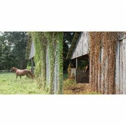 Various Brands RM43 Glyphosate Total Vegetation Control, 1 Gallon Jug - 76500N - Herbicides -Farm & Ranch store 3de67557354a44aad82890c13d28705ffefb77dc 31104002 7