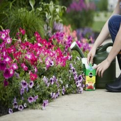 Miracle-Gro Water Soluble All-Purpose Plant Food, 1.5 lbs. - 2001123 - Fertilizers -Farm & Ranch store ca05bc753d57ea631e30309ec622eece956eaeee 80360016 3