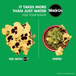 Miracle-Gro Liquafeed All-Purpose Plant Food Advanced Starter Kit (Feeder + 1 Refill) - 1016111 - Fertilizers -Farm & Ranch store cd08f11b341a086f854af2f764148a97c4b87d60 80360139 8