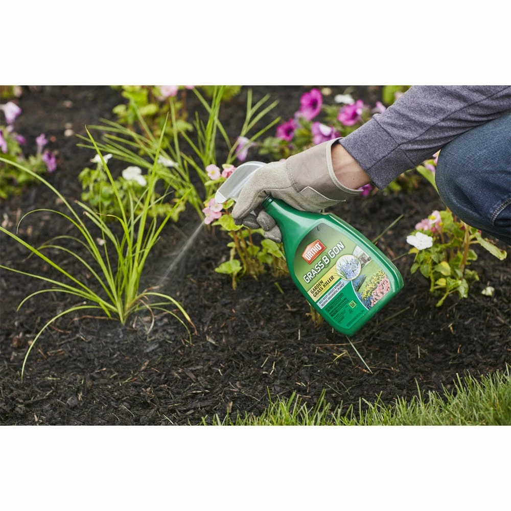 Ortho Grass B Gon Garden Grass Killer, 24 oz. - 0438580 - Herbicides 4 Ortho Grass B Gon Garden Grass Killer, 24 oz. - 0438580 - Herbicides - Image 2
